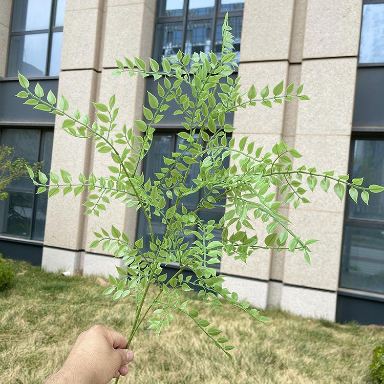 4叉原色吉祥草 绿色.JPG