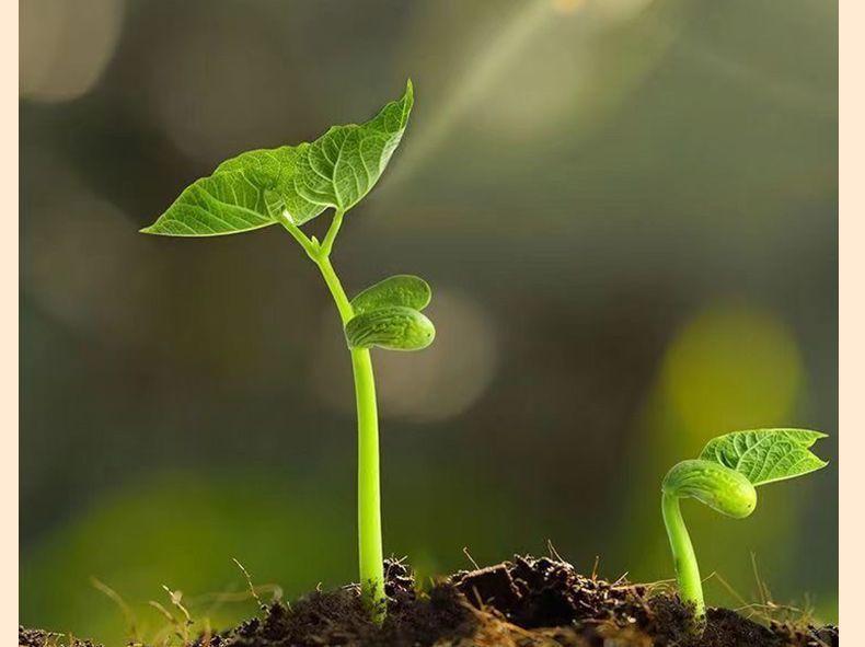 9b335c03-3674-4920-8a7a-b667ab4c32ae.jpe