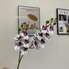 Mini Film de Mano 2 Tenedor Phalaenopsis Flor Artificial Floricultura Avanzada Decoración Sala de Estar Mesa de Café Decoración de Mueble de TV