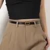 Cinturón Negro Decorativo Vintage Delgado para Mujer Cinturón Simple Versátil Coreano para Jeans con Hebilla Lisa Venta al por Mayor