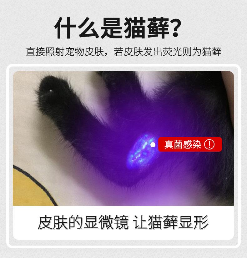 猫藓灯
