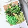 [Kit de Materiales para Repujado A5] Flores Secas Flores Preservadas Marco de Fotos Kit de Materiales para Repujado Materiales Florales DIY Vela Aromática Flores Secas