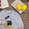 Suéter para Niños 2025 Primavera Nuevo Coreano Niños y Niñas Suéter Estampado de Dibujos Animados Bebé Casual Pulóver Cuello Redondo
