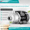 Bomba Centrífuga Tubulação Sistema de Energia Solar Bomba Booster de Aço Inoxidável Bomba de Aquecimento Bomba Autoescorvante Bomba de Água Aço Inoxidável 304