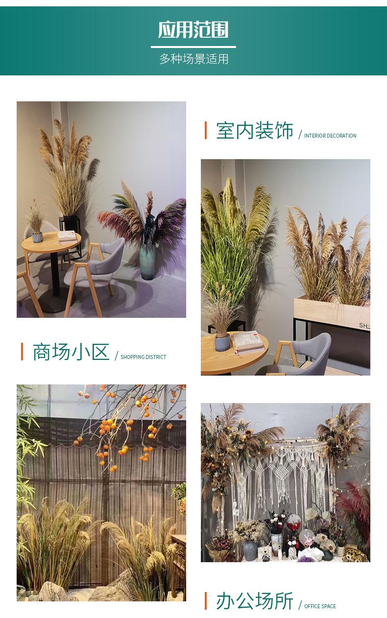 详情页-(2)_12.jpg