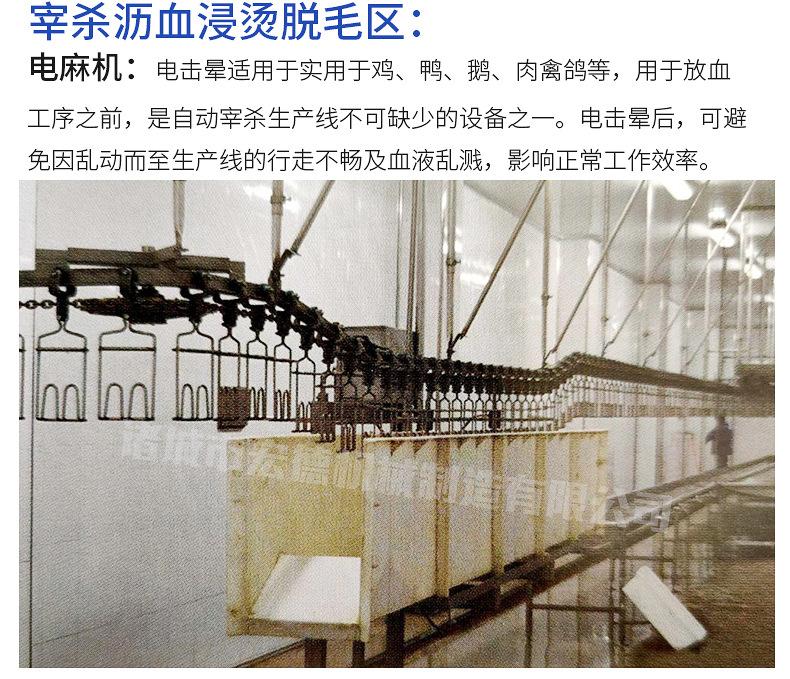 家禽屠宰设备