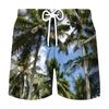 Pantalones de playa deportivos de ocio para hombre, venta al por mayor, impresión digital 3D, para vacaciones de verano en la playa, 2023
