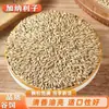 Millet de Cinco Cores, Semente de Canário, Millet Amarelo, Grão Cru, Millet Pele de Tigre, Millet para Calopsita, Millet para Periquito-Australiano com Cascas, Atacado e Varejo