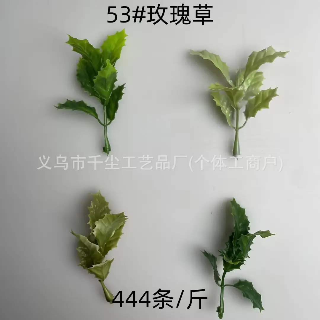53#玫瑰草.jpg