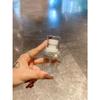 Botella rociadora de prensa portátil para viajes, botella hidratante de maquillaje con diamante, niebla ultrafina, explosiones transfronterizas, ventas directas de fábrica