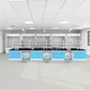 Banco de Laboratorio de Acero Completo con Fregadero, Tablero Químico, Banco Experimental de Acero y Madera