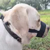 Boza para Perro para Prevenir Mordeduras, Caídas y Comer, Máscara para Mascota Cachorro Pequeño, Mediano y Grande, Máscara con Boca Ajustable para Beber para Prevenir Ladridos