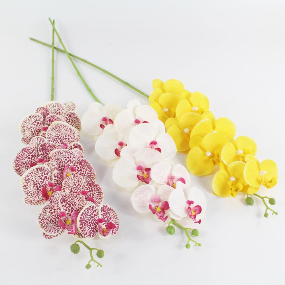 12742560649_717949217