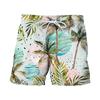 Pantalones Cortos de Playa Estilo Hawaiano para Hombre, Estampado Digital 3D, Europeos y Americanos, Transfronterizos, para Verano 2024, Juventud, Viajes