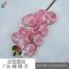Padrão de modelagem 7 cabeça Phalaenopsis cola sentir Phalaenopsis estúdio fotográfico adereços flor de simulação janela bonita Chen