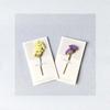 Tarjetas de Felicitación Secas Frescas y Creativas, Tarjetas de Cumpleaños, Tarjetas del Día de la Madre, Tarjetas Universales del Día de la Mujer, Tarjetas de Bendición