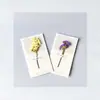 Cartão de Cumprimentos com Flores Secas Fresco e Criativo Cartão de Aniversário Cartão de Dia das Mães Cartão de Dia da Mulher Cartão de Cumprimentos Geral Cartão de Bênçãos