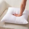 Explosiones de comercio exterior transfronterizo venta al por mayor núcleo de almohada núcleo de cojín almohada Estados Unidos Medio Oriente Europa Amazon temu shein