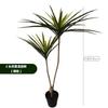 Simulação Planta Vaso Ferro Árvore Dragão Sangue Árvore Simulação Millennium Madeira Sala de Estar Piso Vento Nórdico Simulação Árvore Paisagem Plantas Verdes