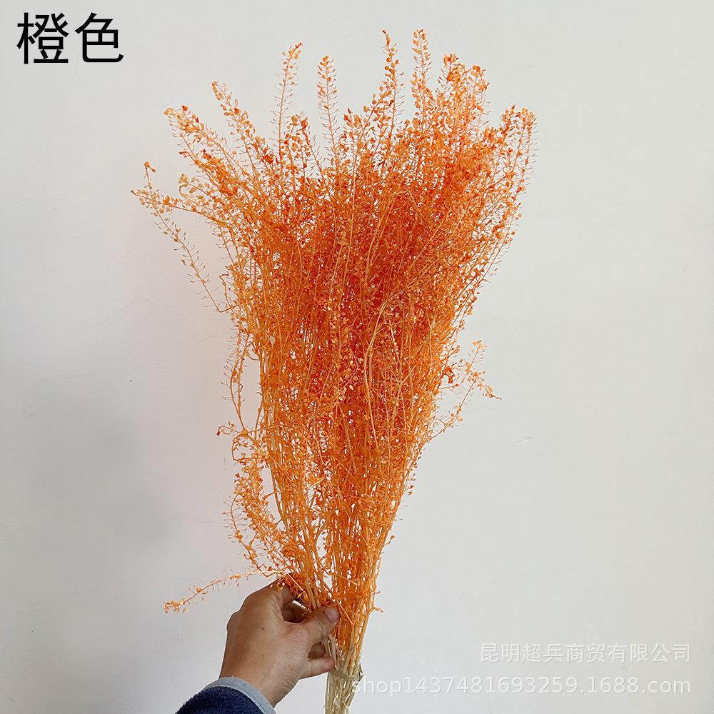 QQ图片20221213152634.jpg