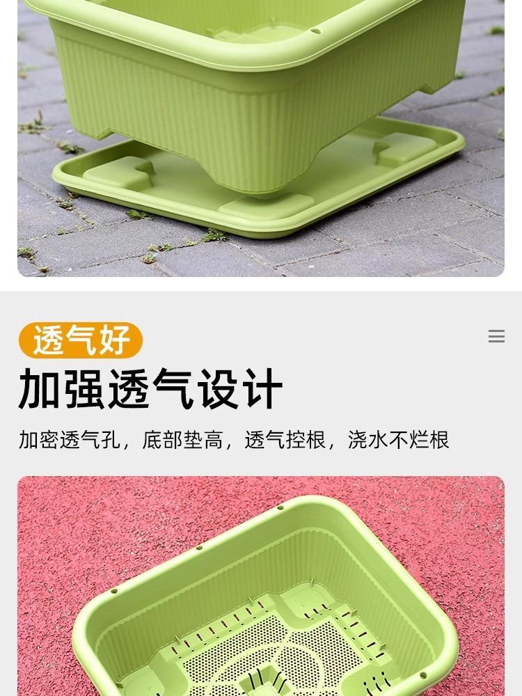 O1CN01T7Zw6v1STdCJt0gTv_!!2211