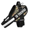 Correa para Perro Chaleco para Pasear Perros Collar Perro Grande Golden Retriever Labrador Perro Teddy Correa de Cadena para Perro