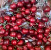 Adornos de frutas frutas y verduras de simulación plástico fruta falsa plátano de granja con verduras de educación temprana foto Hotel