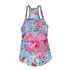 Roupa Pet Vestido de Princesa Roupa de Verão Roupa para Gato Cachorro Vestido de Gato Teddy Fadou Urso de Feijão