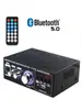 Mini Amplificador de Potencia Máquina Amplificador de Potencia para Altavoz Tarjeta Amplificador de Potencia Radio USB DC 12V 220V Amplificador de Potencia Bluetooth
