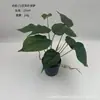 Nova Planta Transfronteiriça Folha de Caladium Mini Anjinho Parede Verde Paisagismo Folha Decorativa Material Display de Restaurante Plantas Verdes