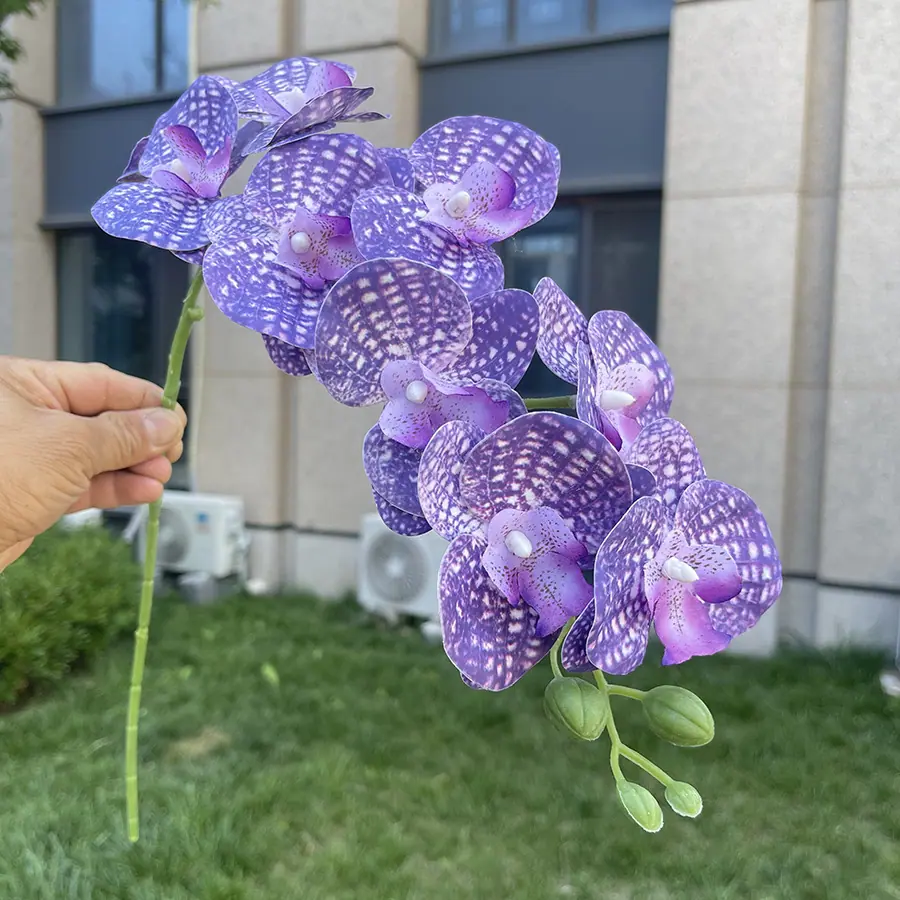 9头短杆3D打印蝴蝶兰-xlmwdx-中紫蓝.JPG
