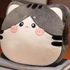 Almohada Calentador de Manos de Gato Edredón Almohada de Doble Uso Almohada para Siesta para Coche Oficina Manta 2 en 1 Regalo de Vacaciones