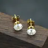 Pétalos de circón de seis garras luz de lujo nicho versátiles pendientes de circón nicho de alta calidad temperamento pendientes populares al por mayor