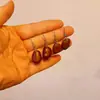 Grãos YihuaEspécimes Naturais de Casca de Fruta para Decoração Ventoins de Manivela DIY Grãos de Flores Pequenas Sementes de Plantas Materiais Artesanais