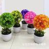 Suministro Directo de Fábrica de Plantas Artificiales en Maceta, Rosas, Perfumes, Lirios, Flores Falsas, Plantas Verdes, Adornos Florales Simulados con Decoración de Maceta