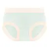 Calcinhas de modal cintura média para mulheres, elásticas de verão, não restritivas, estilo jovem, antibacterianas, fundo 100% algodão, calcinhas femininas que cobrem o quadril