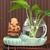 Hui Neng Pequeño Monje Planta Verde Hidropónica Jarrón Escritorio Oficina Hogar Mesa de Té Decoración Jarrón de Planta Cultivada en Agua Inspirado en Zen