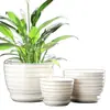 Maceta de Cerámica Tamaño Grande Oferta Especial Liquidación Interior Escritorio Balcón Suculenta Maceta Pequeña Clorofito Helecho Espárrago Maceta Simple Blanca