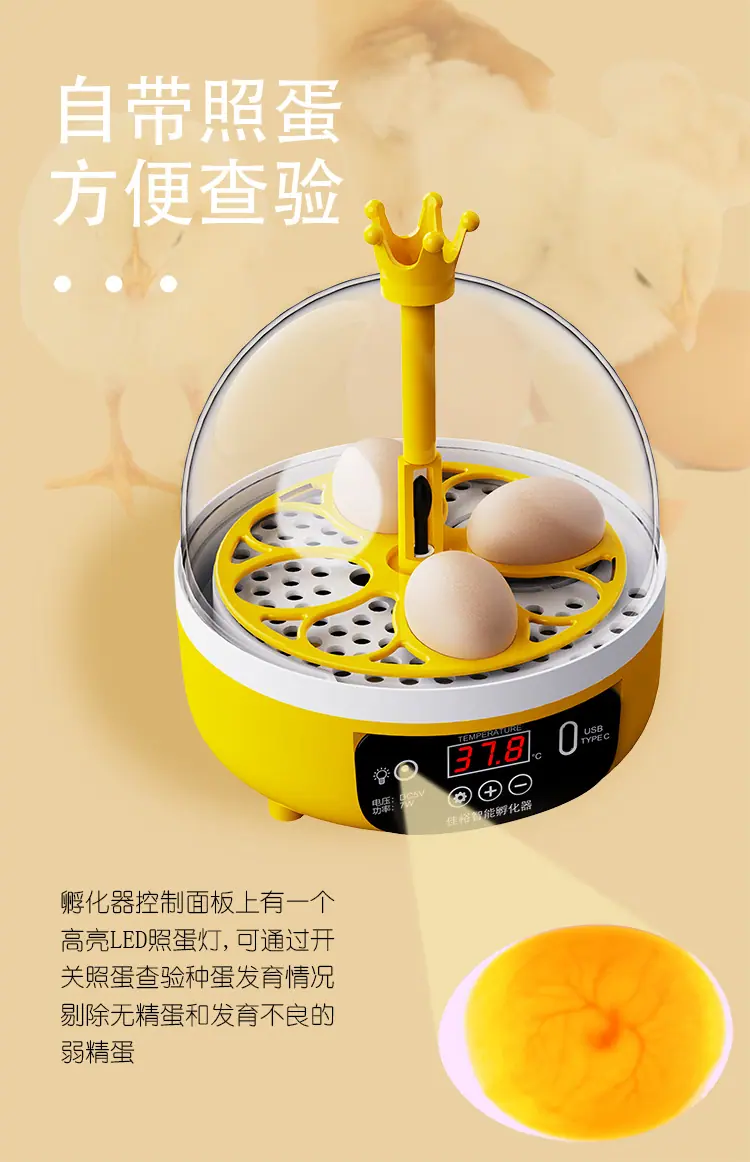 画板 7.png
