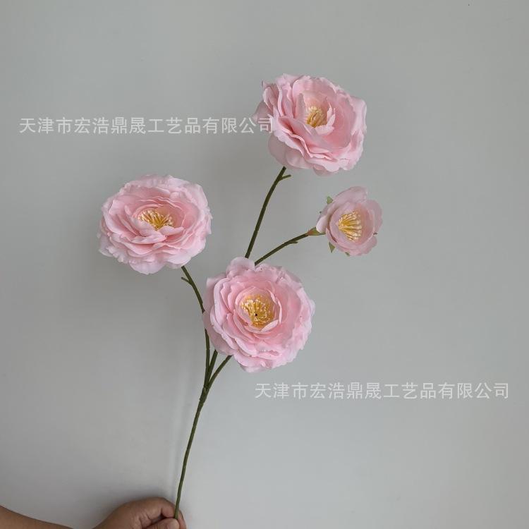 微信图片_20230810101758_副本