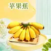 Plátano Manzana de Guangxi, disponible para entrega en cantidades de 2/3/5/ 4.5 kg piezas, buena calidad, maduro naturalmente, agridulce, con buen sabor, fruta fresca