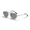Gafas de Sol Metálicas de Doble Puente Estilo Europeo y Americano Raine para Hombres y Mujeres, Esencial Retro de Streetwear de Alta Gama, Gafas Aviador para Sombra al Aire Libre