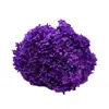 Flores de Hortensia Secas con Degradado Grande Hortensias Conservadas Cabezas de Flores Grandes Color Mixto Multicolor Hortensias Secas Decoración del Hogar Materiales Florales
