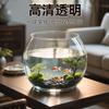 Acuario redondo pequeño para mesa de hogar, pecera para peces dorados, pecera ecológica para betta, pecera paisajística para plantas acuáticas, acuario transparente para perezosos