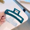 Versión coreana de pinza para el cabello de ácido acético ~ Popular en internet, grande de 12 cm, color Morandi, para la parte posterior de la cabeza, pinza para el cabello con clip para el cabello