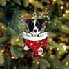 Navidad Transfronteriza Lindos Calcetines de Navidad Perro Árbol de Navidad Decoración Colgante Regalo Creativo Festivo