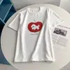 Camiseta de Manga Curta Solta Estilo Americano 2026 Nova Estampa de Maçã Vermelha, Algodão Puro, Primavera/Verão, Toque de Luxo, Top Simples, Tendência