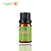 Amazon Aliexpress Aceite de Vetiver Humidificador de Aromaterapia sin Llama Coche Hotel Botella Pequeña Aceite Base 10ml en Stock