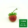 Modelo de fresa de simulación plástico fruta falsa decoración accesorios de fondo para fotografía materiales de decoración DIY