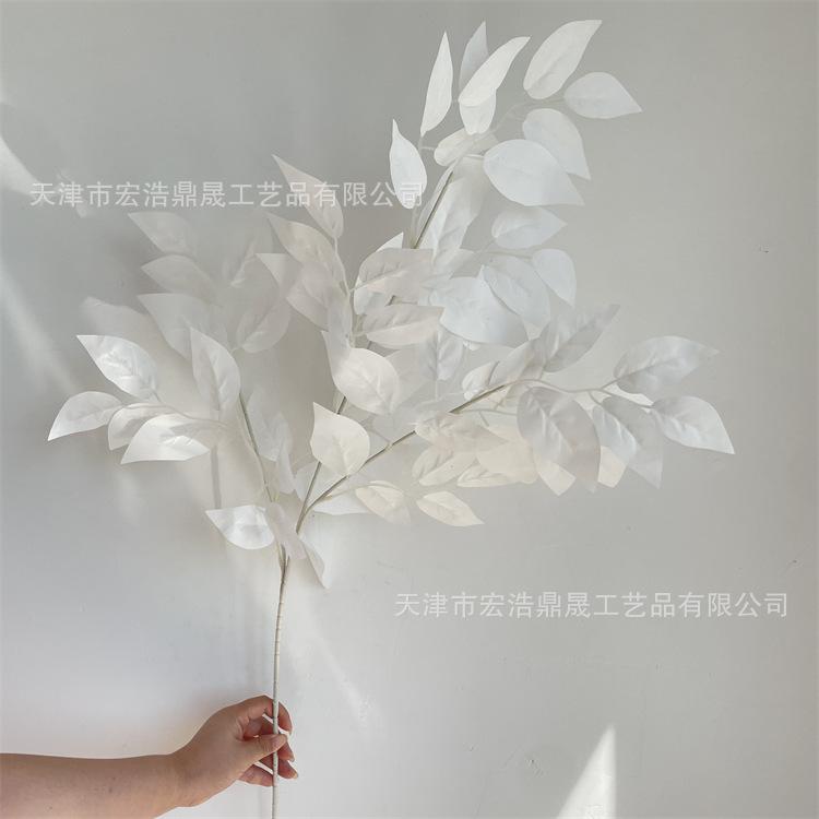 微信图片_202209021633353